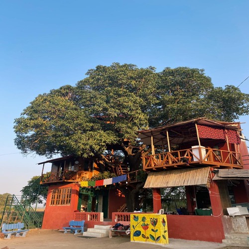 Tiso Tree House Tiso Tree House